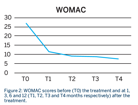womac result graph