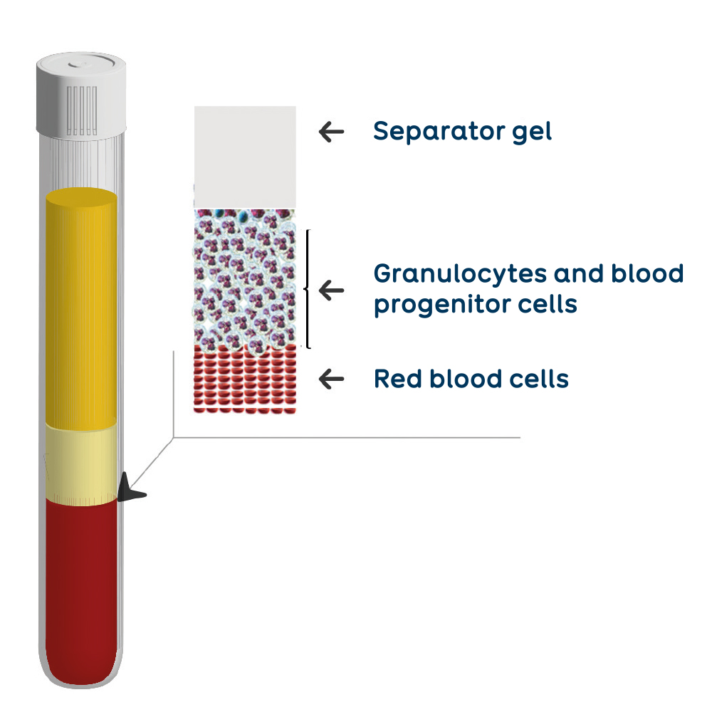 Regen Lab Tube